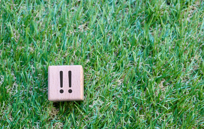 Exposing the language of oppression: Debra Dank's 'Terraglossia'