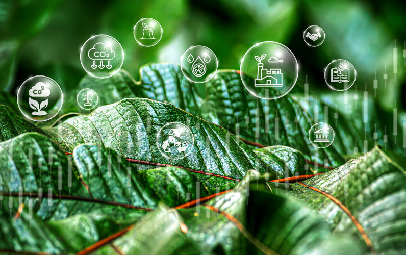 A carbon tax and some key policy challenges