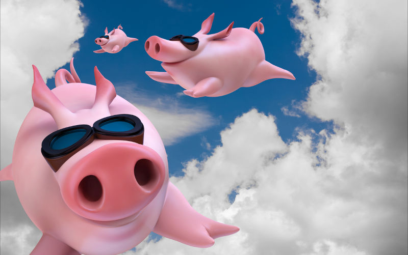 Funny sky diving flying piggies 3d illustration Image iStock / motttive