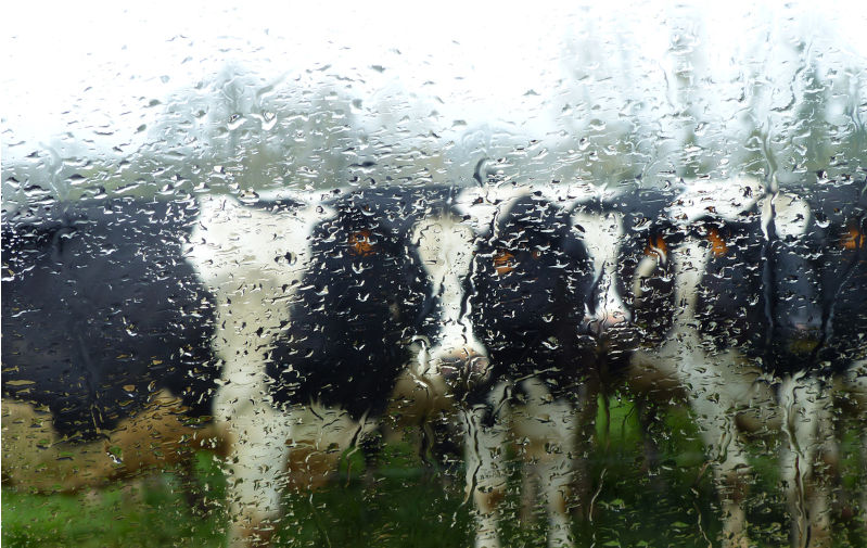 The science of being absolutely wrong