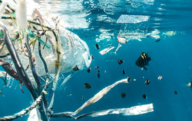 Humanity: sinking into a stagnant ocean