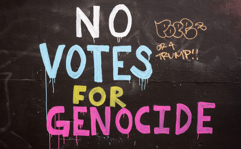 'Damning' new poll shows price Kamala Harris paid for backing Israeli genocide in Gaza