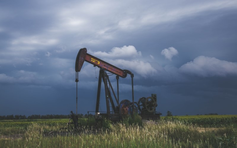 Sunday environmental round up