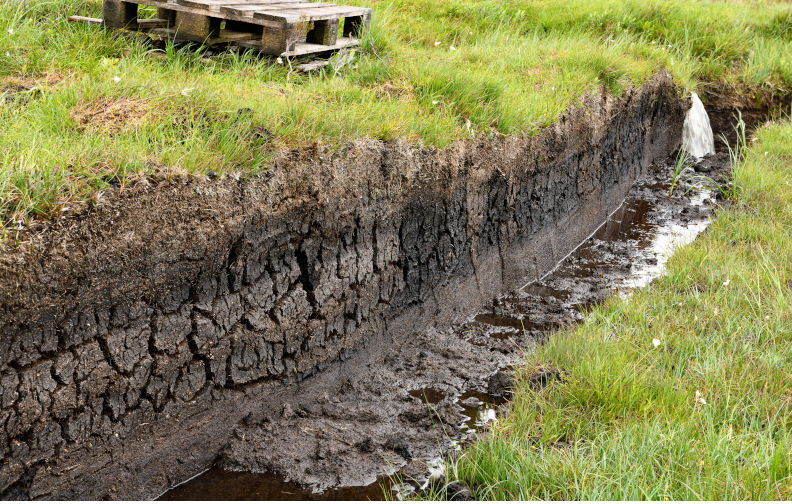 Environment: Forget 1.5 degrees C, even 2 degrees C, while forests and peat disappear and natural gas booms