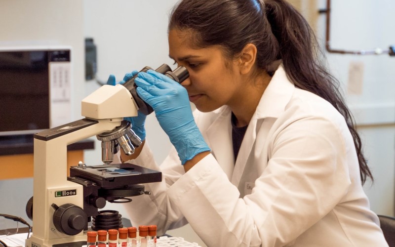 Is science a new driver for policy making?