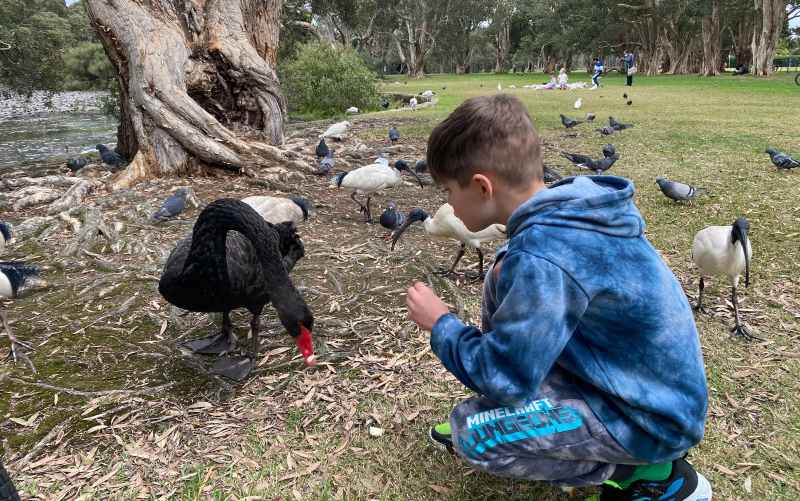 A call to contemplation coexists with a call to meaningful action