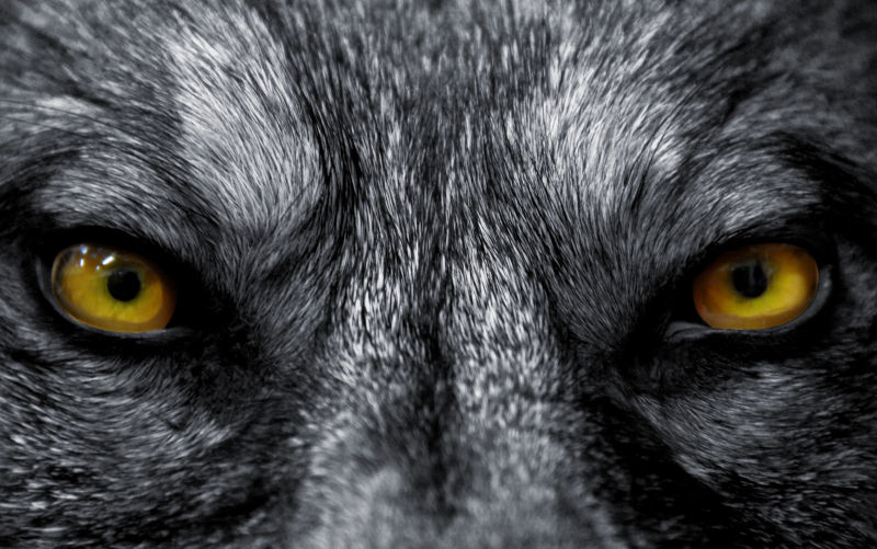 Best of 2025 - The boy who cried antisemitism